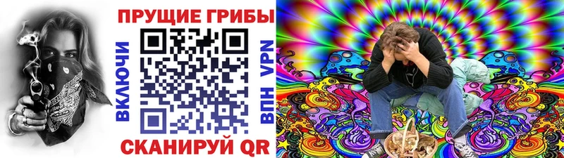 Псилоцибиновые грибы Cubensis  Плёс 